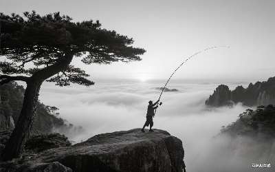 小药里的诱鱼剂是什么(pic1)